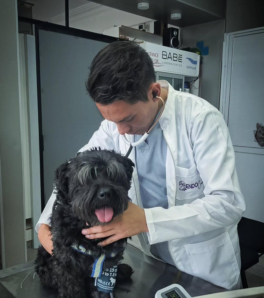 Dr. Diego Montaño atendiendo paciente